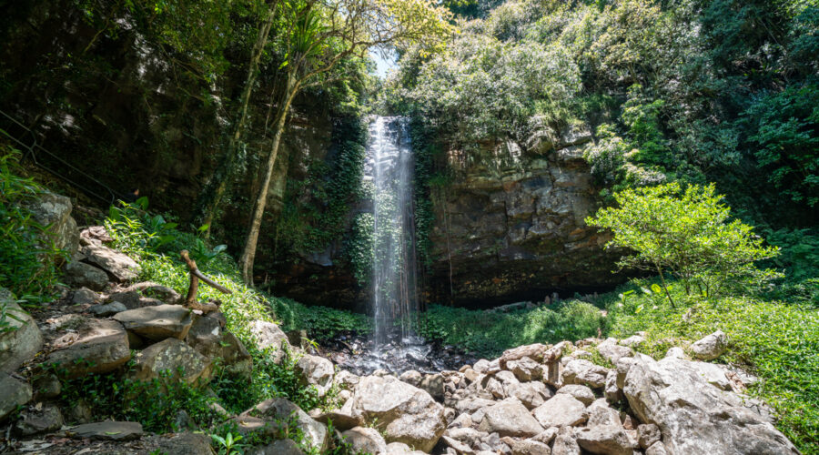 Crystal Shower Falls in Dorrigo National Park Australia