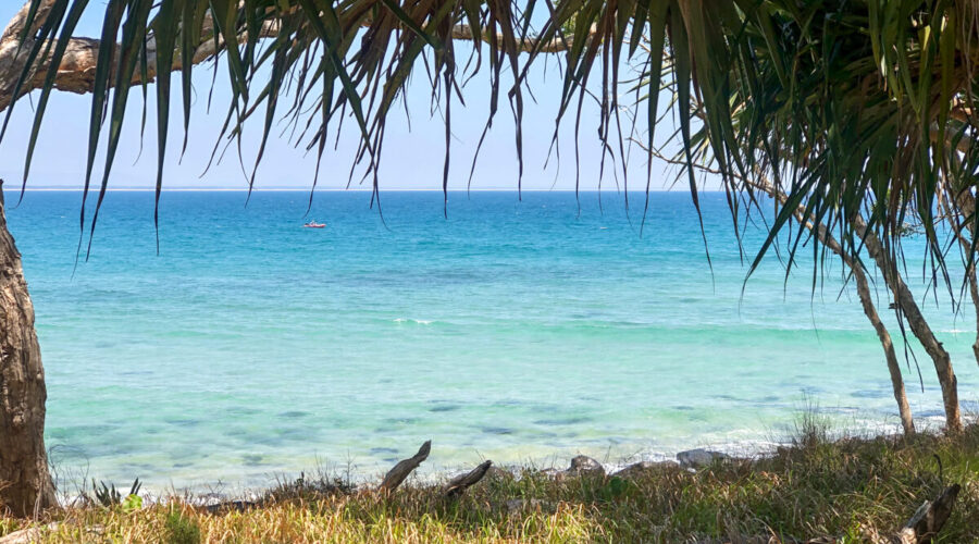 Noosa beach views