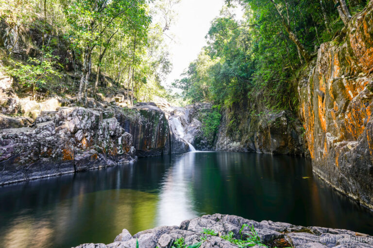 Eungella National Park | Mackay Region - Our Big Journey