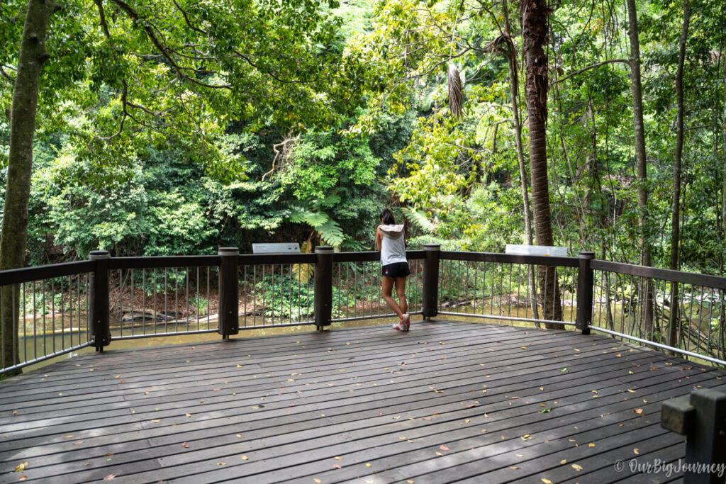 Eungella National Park Platypus Platform lookout