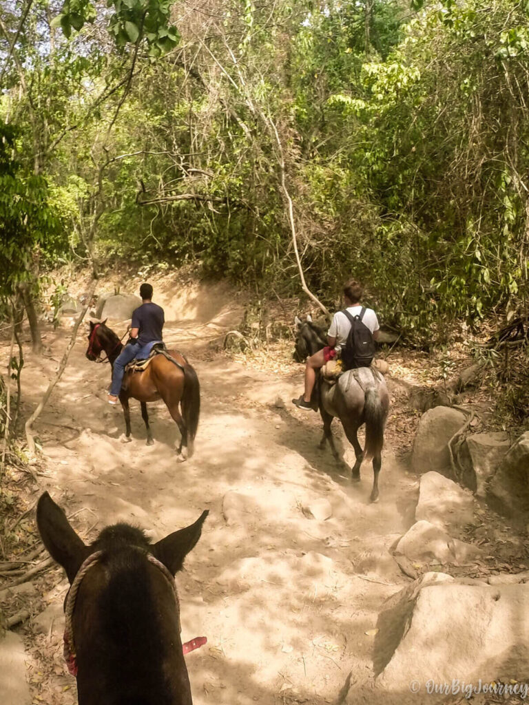 riding horses in Tayrona's park