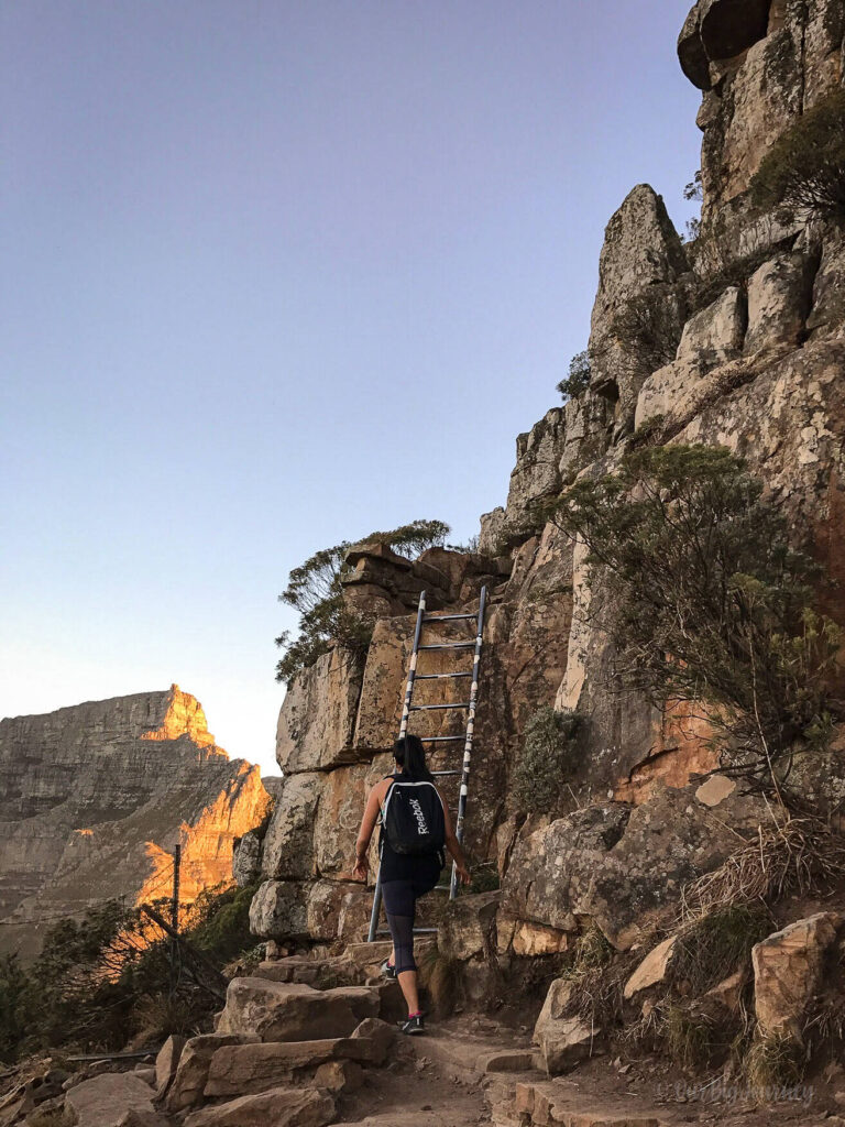 Hike up Lions Head Cape Town