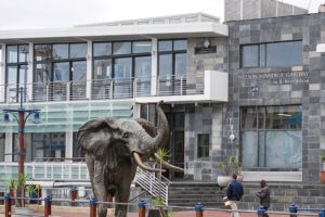 Nelson Mandela Gateway to Robben Island